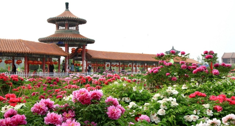 江苏曹州牡丹园景区电子票 ota 对接系统 8 大功能1.png