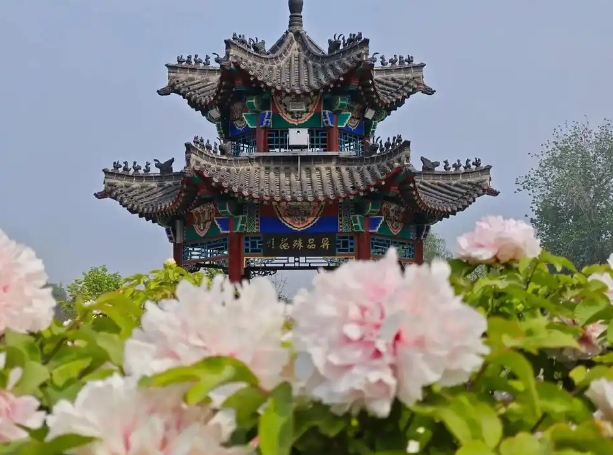 江苏曹州牡丹园景区电子票 ota 对接系统千亿国际的解决方案.png