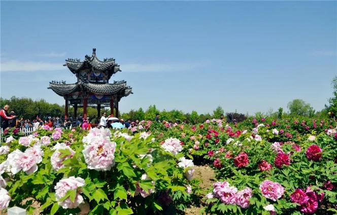 江苏曹州牡丹园景区电子票 ota 对接系统哪家公司好.jpeg