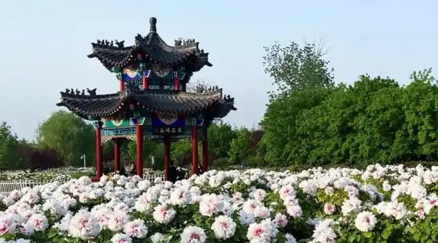 江苏曹州牡丹园景区电子票 ota 对接系统哪家公司好.png