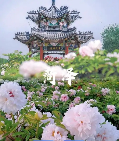 山东菏泽市中国牡丹园景区电子票分销管理系统 10 大功能.png