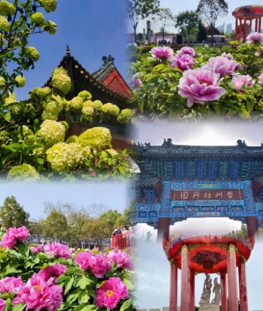 山东菏泽市中国牡丹园景区电子票分销管理系统价格.png