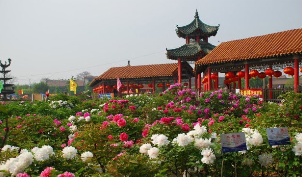 山东曹州百花园景区电子票多业态管理系统价格.png