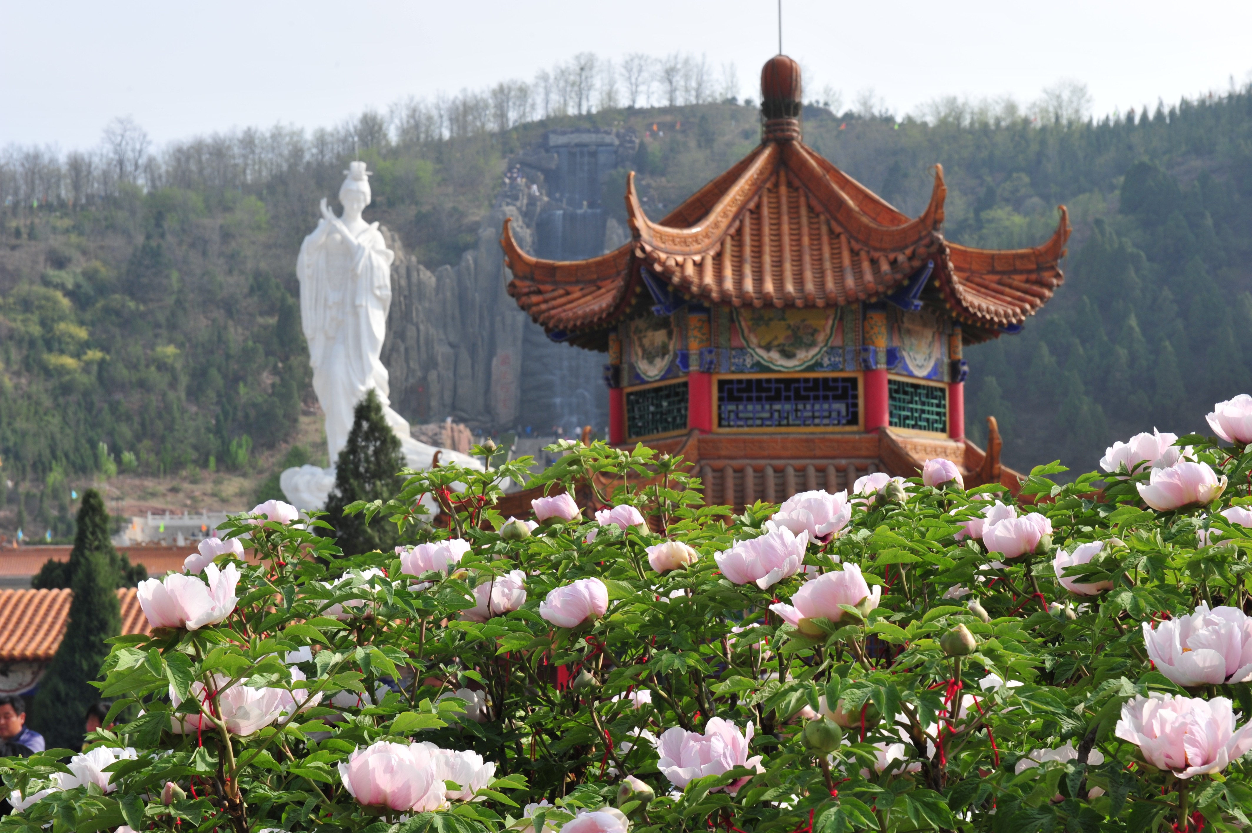 山西古县牡丹旅游景区电子票综合业态管理系统介绍.jpeg