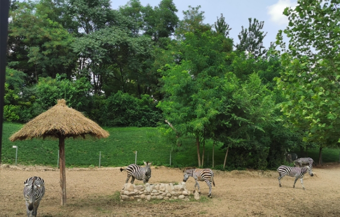 北京野生动物园景区电子票 ota 对接系统价格.png