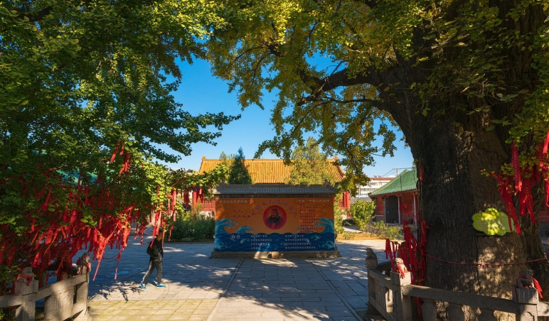 北京潭柘寺景区检票闸机管理系统价格.png