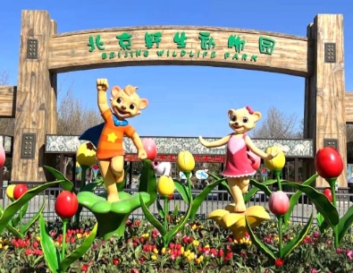 北京野生动物园智能导览系统千亿国际的解决方案1.png
