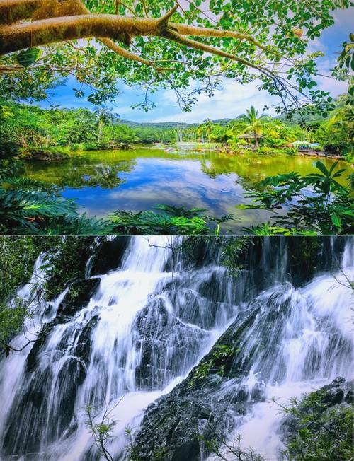 海南呀诺达景区ota管理系统多少钱1.jpeg