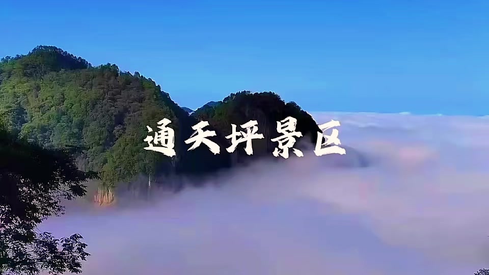通天坪景区票务系统历史问题.jpg