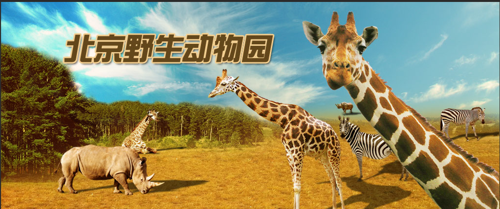 北京野生动物园票务系统多少钱.png